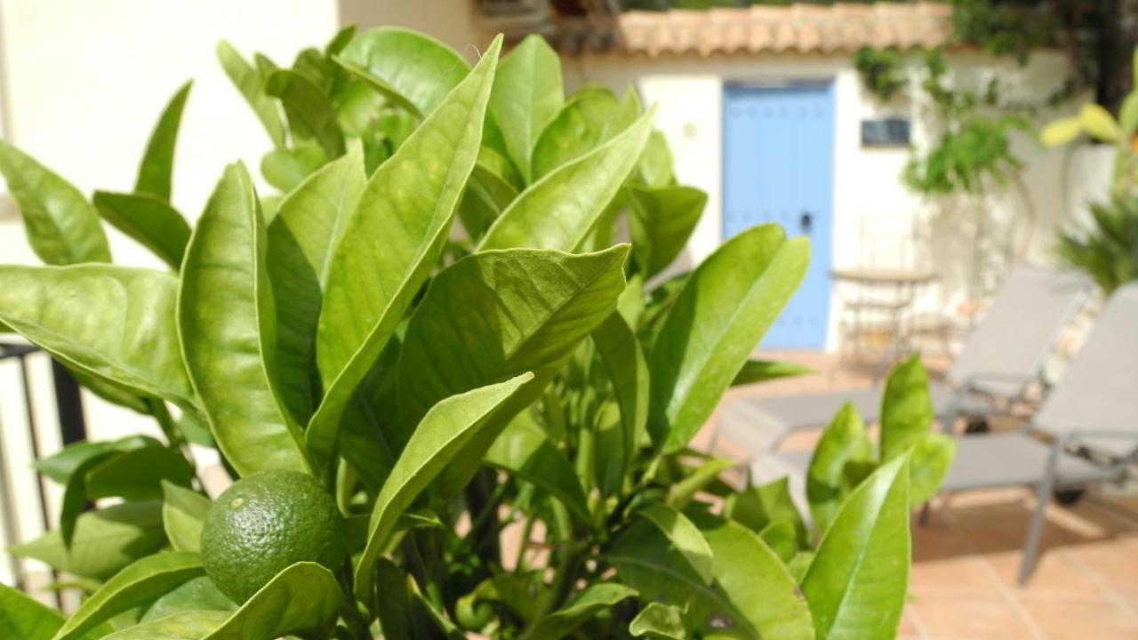 Casa Romero Lliber Buitenkant foto